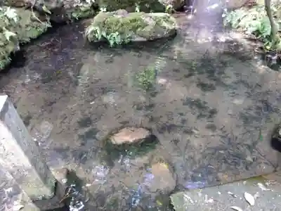 加多志波神社(福井県)