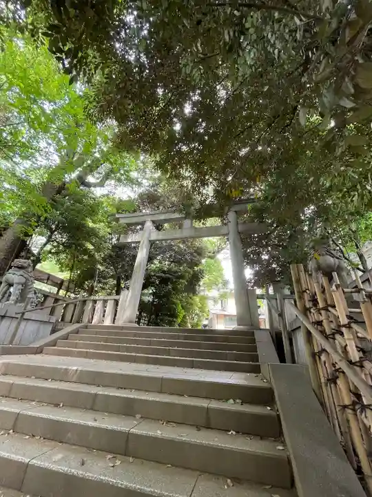 渋谷氷川神社の鳥居