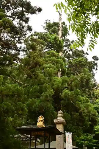 一乗寺(兵庫県)