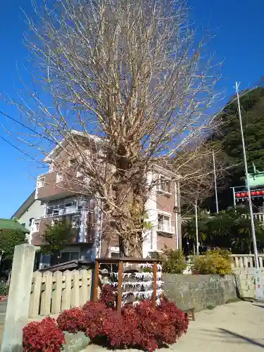 叶神社（東叶神社）の自然