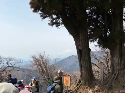 大山阿夫利神社本社の{uncategorized: "未分類", other: "その他", undefined: "問題あり", building: "その他建物", grave: "お墓", sacred_gate: "鳥居", guardian: "狛犬", statue: "像", buddha: "仏像", history: "歴史", nature: "自然", garden: "庭園", animal: "動物", pagoda: "塔", temizu: "手水舎", mountain_gate: "山門・神門", sanctuary: "本殿・本堂", subordinate: "末社・摂社", art: "芸術", scenery: "景色", jizo: "地蔵", ema: "絵馬", goshuin: "御朱印", omikuji: "おみくじ", items: "授与品その他", amulet: "お守り", goshuincho: "御朱印帳", eats: "食事", festival: "お祭り", votive_dance: "神楽", shichigosan: "七五三参", wedding: "結婚式", experience: "体験その他", initially: "初詣", around: "周辺", anti_infection: "感染症対策"}