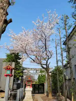 御嶽神社(埼玉県)