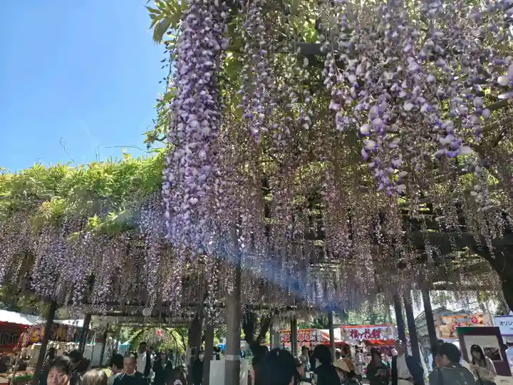中山熊野神社の{uncategorized: "未分類", other: "その他", undefined: "問題あり", building: "その他建物", grave: "お墓", sacred_gate: "鳥居", guardian: "狛犬", statue: "像", buddha: "仏像", history: "歴史", nature: "自然", garden: "庭園", animal: "動物", pagoda: "塔", temizu: "手水舎", mountain_gate: "山門・神門", sanctuary: "本殿・本堂", subordinate: "末社・摂社", art: "芸術", scenery: "景色", jizo: "地蔵", ema: "絵馬", goshuin: "御朱印", omikuji: "おみくじ", items: "授与品その他", amulet: "お守り", goshuincho: "御朱印帳", eats: "食事", festival: "お祭り", votive_dance: "神楽", shichigosan: "七五三参", wedding: "結婚式", experience: "体験その他", initially: "初詣", around: "周辺", anti_infection: "感染症対策"}