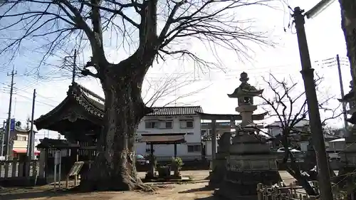 佐間天神社のその他建物