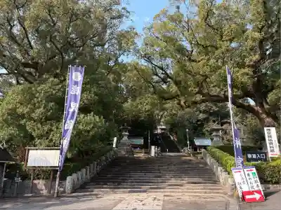 鹿児島神宮(鹿児島県)