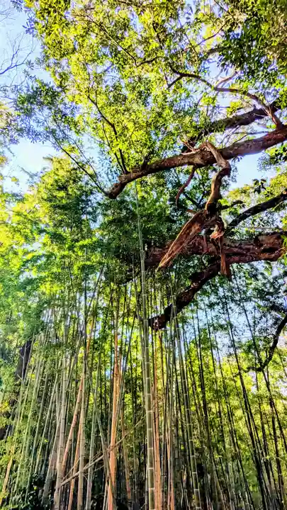 七百餘所神社 の自然