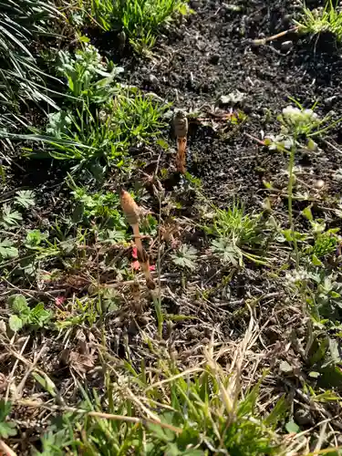 慈恩寺(埼玉県)