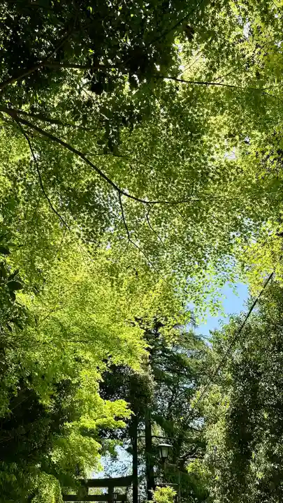 朝護孫子寺(奈良県)