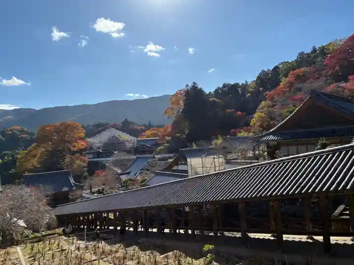 長谷寺(奈良県)