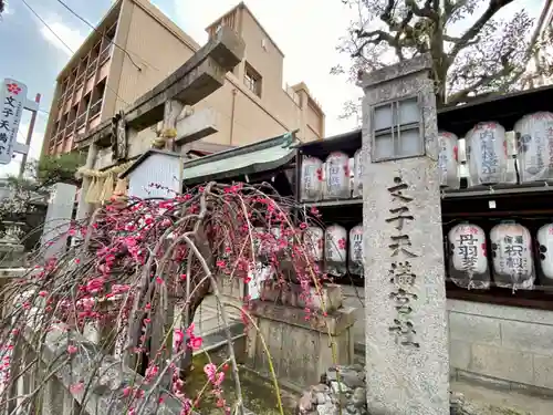 文子天満宮の自然