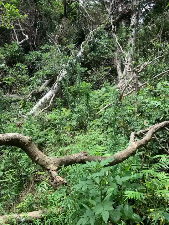 諏訪神社の自然