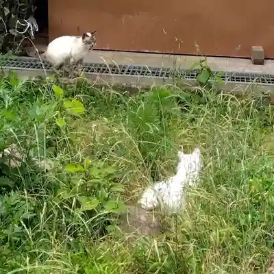 円通寺(埼玉県)