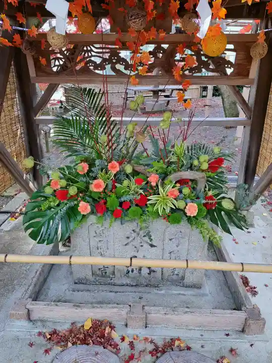 温泉神社〜いわき湯本温泉〜の{uncategorized: "未分類", other: "その他", undefined: "問題あり", building: "その他建物", grave: "お墓", sacred_gate: "鳥居", guardian: "狛犬", statue: "像", buddha: "仏像", history: "歴史", nature: "自然", garden: "庭園", animal: "動物", pagoda: "塔", temizu: "手水舎", mountain_gate: "山門・神門", sanctuary: "本殿・本堂", subordinate: "末社・摂社", art: "芸術", scenery: "景色", jizo: "地蔵", ema: "絵馬", goshuin: "御朱印", omikuji: "おみくじ", items: "授与品その他", amulet: "お守り", goshuincho: "御朱印帳", eats: "食事", festival: "お祭り", votive_dance: "神楽", shichigosan: "七五三参", wedding: "結婚式", experience: "体験その他", initially: "初詣", around: "周辺", anti_infection: "感染症対策"}