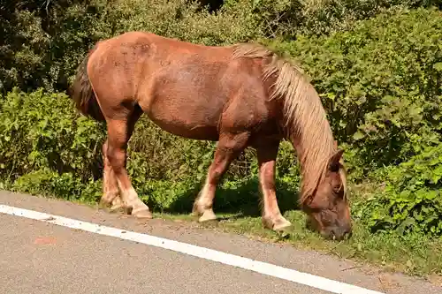 国賀神社(島根県)