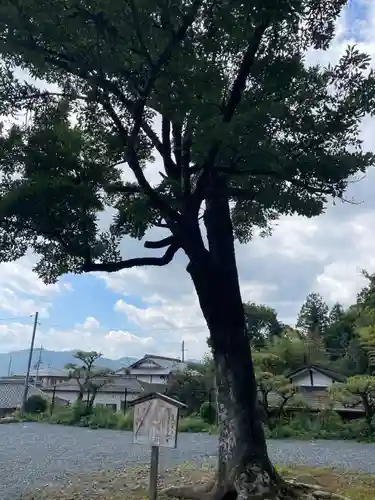 池尻天満宮(京都府)