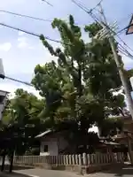 住吉神社の周辺