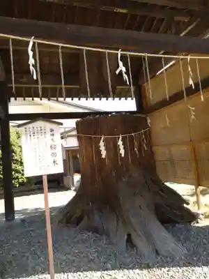 須賀神社(栃木県)