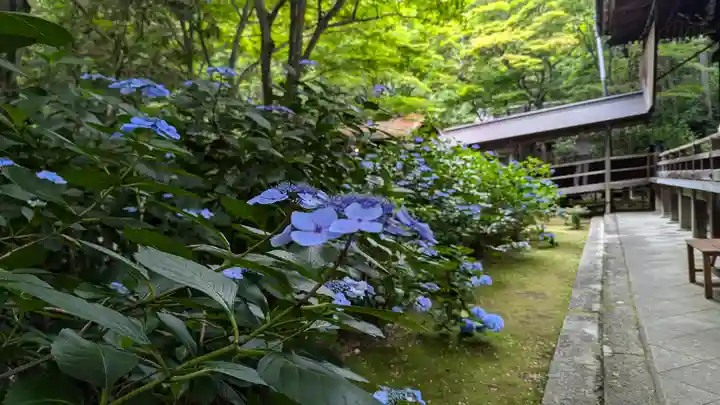 柳谷観音 楊谷寺(京都府)