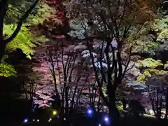 土津神社｜こどもと出世の神さまの自然