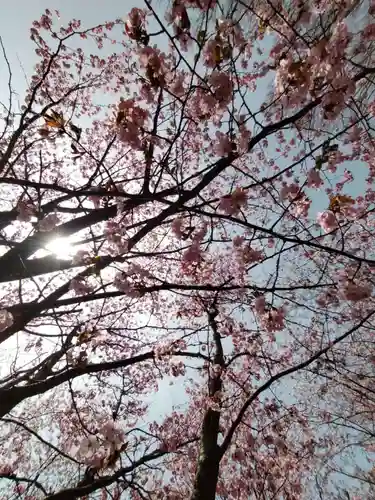 厚別神社(北海道)