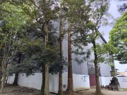 笠間稲荷神社(茨城県)