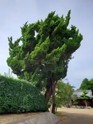 清水神社の自然