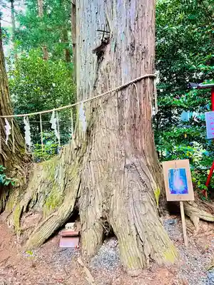 坪沼八幡神社(宮城県)