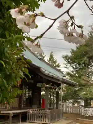 尉殿神社の本殿・本堂