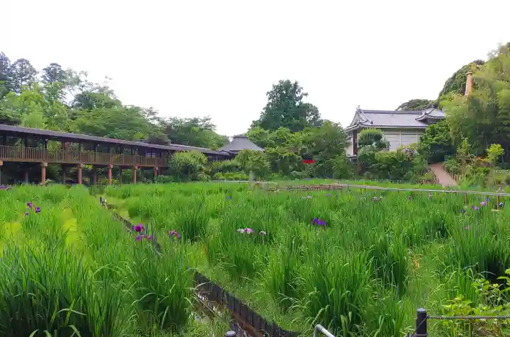 本土寺(千葉県)