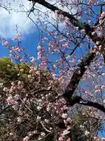 上野東照宮(東京都)