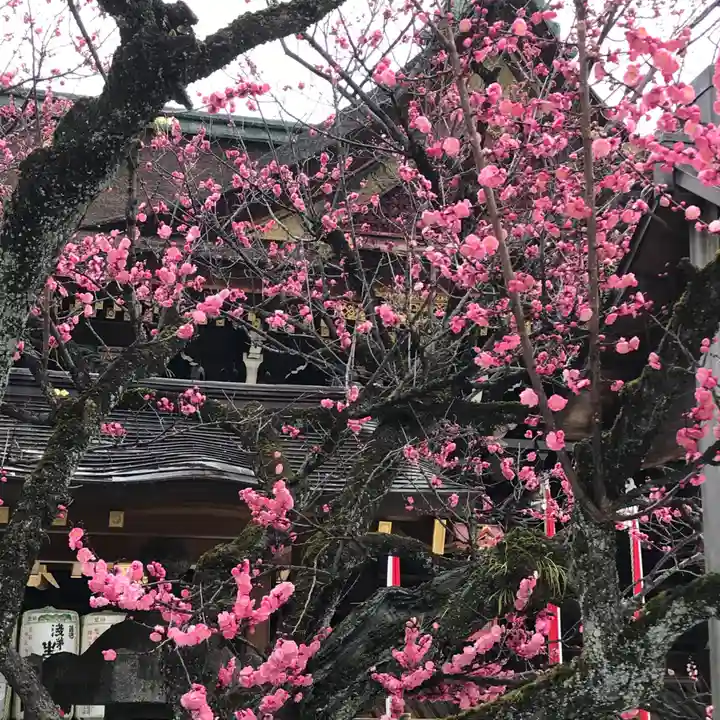 北野天満宮の自然