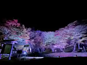 土津神社|こどもと出世の神さま(福島県)(2024年10月26日(土) 20時43分18秒投稿)