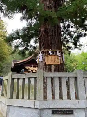 諏訪大社下社秋宮(長野県)