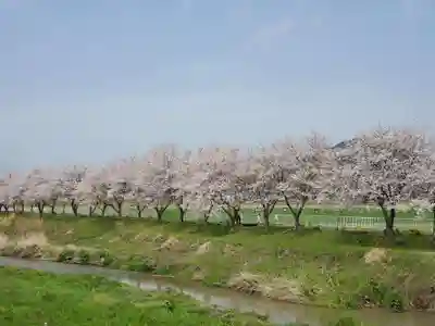 稲荷神社の自然