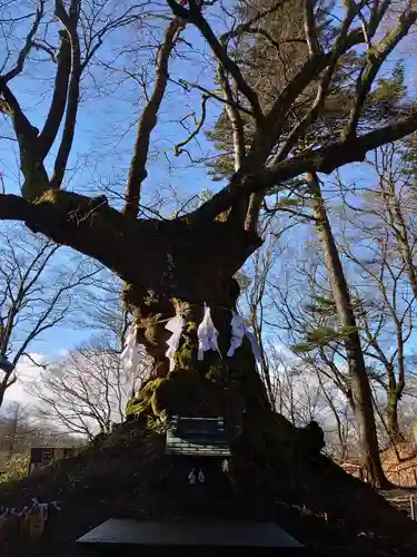 熊野皇大神社(長野県)