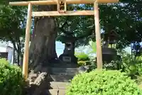 山神宮(埼玉県)