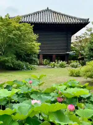 東寺（教王護国寺）(京都府)