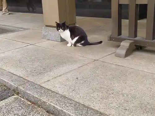 白金氷川神社(東京都)
