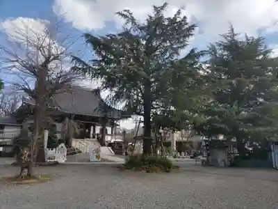 法蓮寺(東京都)