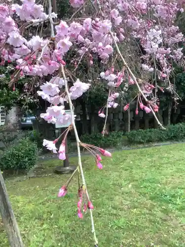 橿森神社(岐阜県)