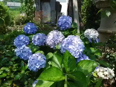 眞浄院(神奈川県)