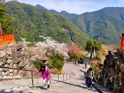 熊野那智大社(和歌山県)