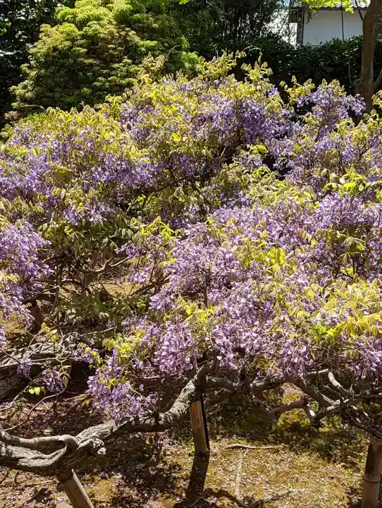 長慶院(京都府)