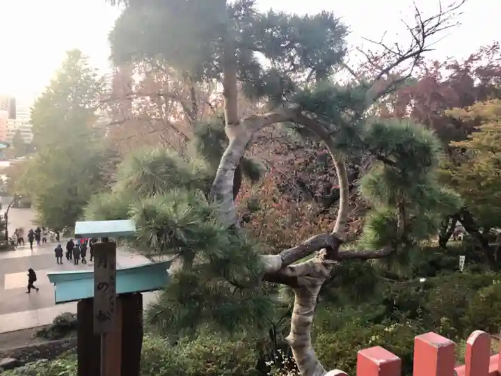 清水観音堂の景色