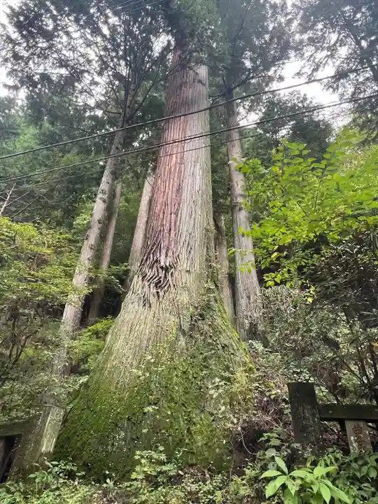 榛名神社(群馬県)