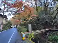 貴船神社結社(京都府)