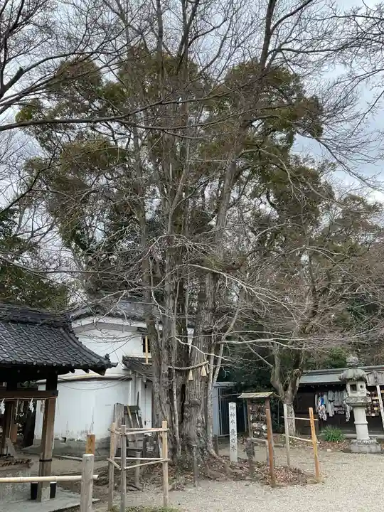 梨木神社(京都府)