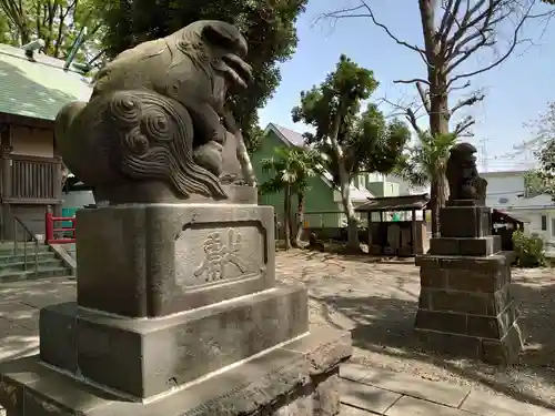 六角橋杉山大神の狛犬