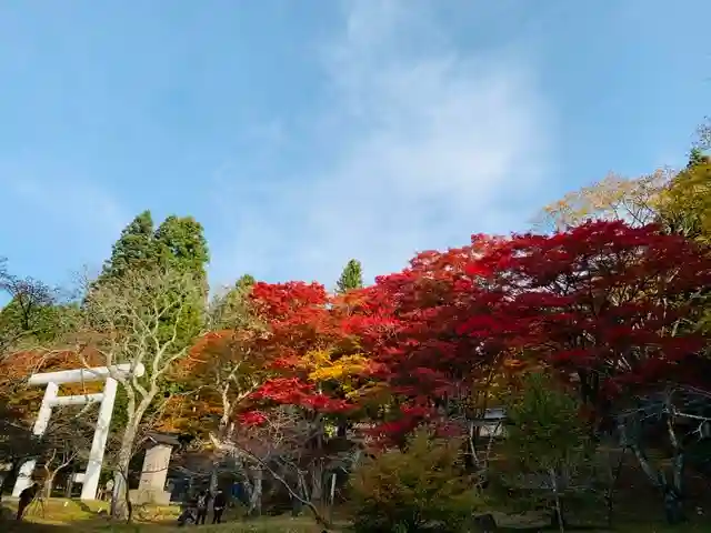 土津神社|こどもと出世の神さまのその他建物