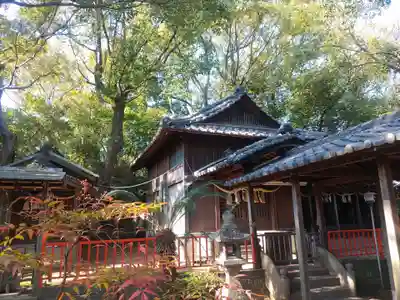 住吉神社の本殿・本堂